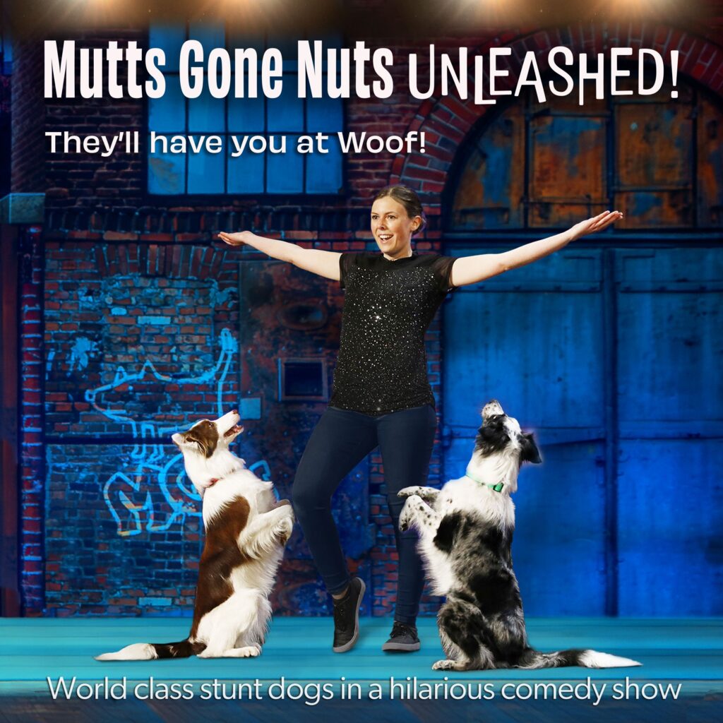 Mutts Gone Nuts - Friday October 18th at 7:00 PM - $25/$35/$40